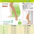 画像1: アルケア アンシルク2ストッキング(片足）【27hPa/20mmHg】 (1)